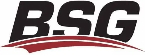 BSG