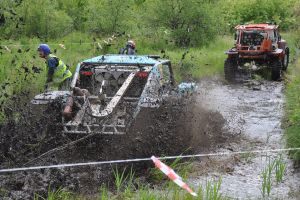 Фавориты гонки. - subarist.ru