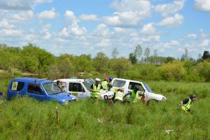 Приплыли! - subarist.ru