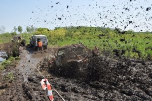 Тут Рому понесло! - subarist.ru