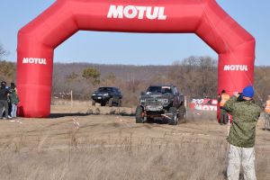 Старшие братья. - subarist.ru